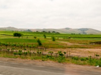 IMG-00211