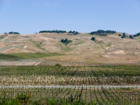 IMG-00214