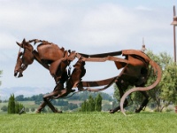 IMG-00216
