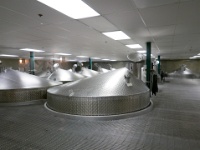 IMG-00224