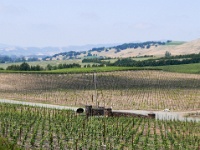 IMG-00234