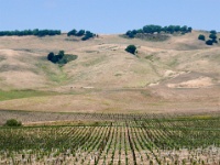 IMG-00236