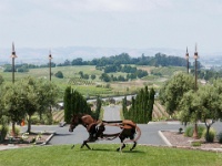 IMG-00238
