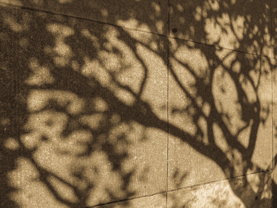 IMG-00133