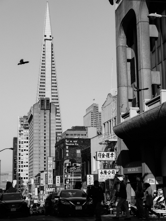 IMG-00300