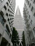 IMG-00022