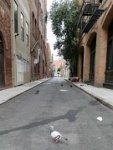 IMG-00024