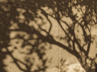 IMG-00133