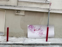 IMG-00195