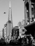 IMG-00300