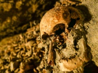Catacombs