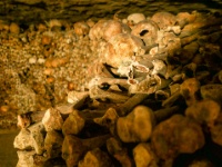 IMG-00599