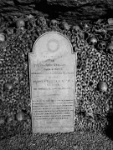 IMG-00619