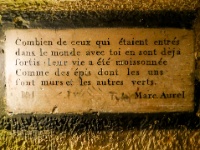 IMG-00623