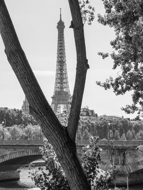 IMG-00744