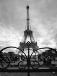IMG-00101