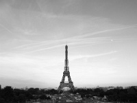 IMG-00552
