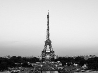 IMG-00555