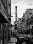 IMG-00699