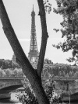 IMG-00744