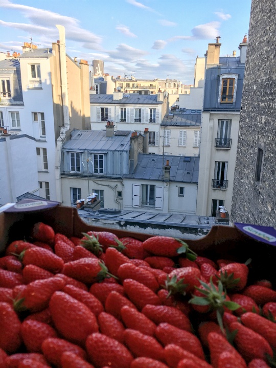 IMG-00121