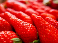 IMG-00086