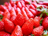 IMG-00091