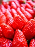 IMG-00092