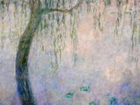 IMG-00158
