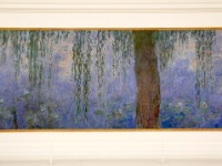 IMG-00159