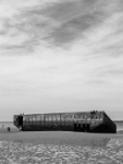 IMG-00496