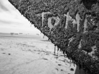 IMG-00503