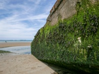 IMG-00504