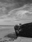 IMG-00505