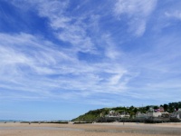 IMG-00509