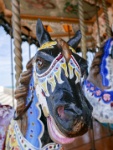 IMG-00511