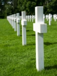 IMG-00391