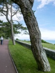 IMG-00398