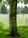 IMG-00419