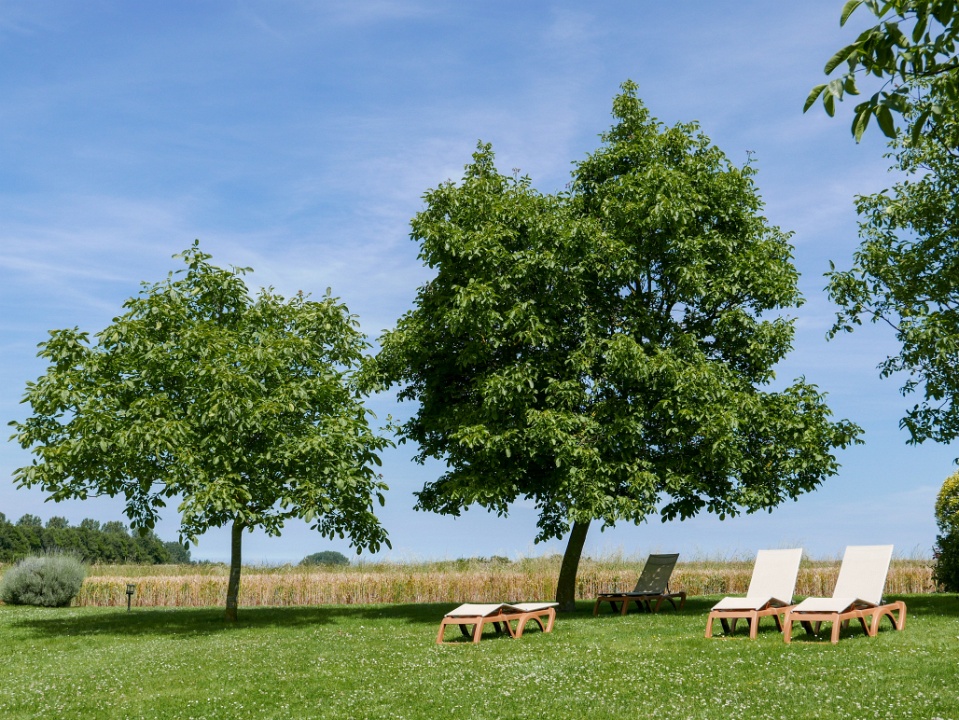 IMG-00483