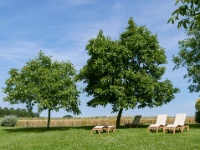 IMG-00483
