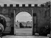 IMG-00485