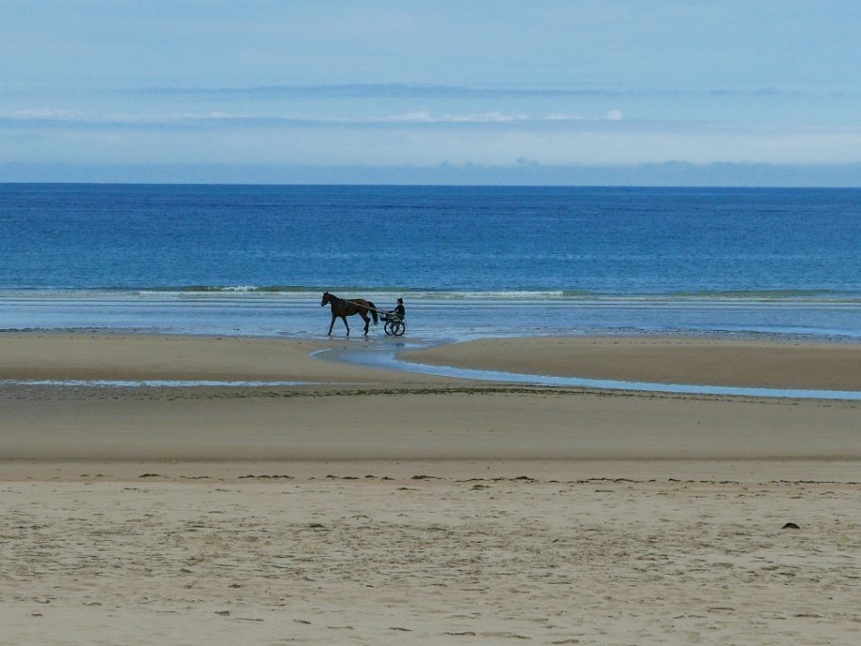 IMG-00423