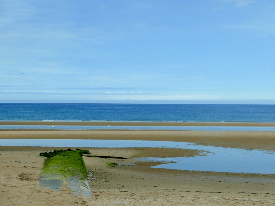 IMG-00424