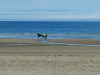 IMG-00423