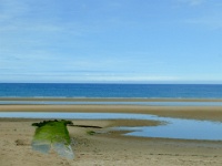 IMG-00424
