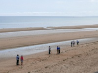 IMG-00431