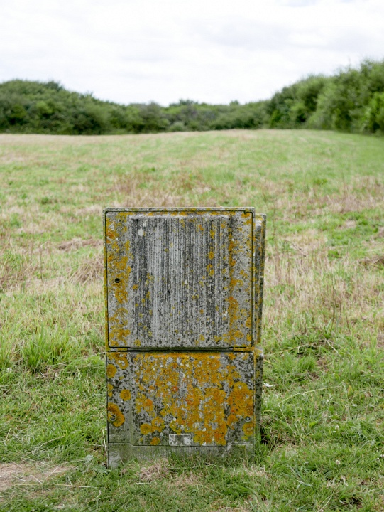 IMG-00435