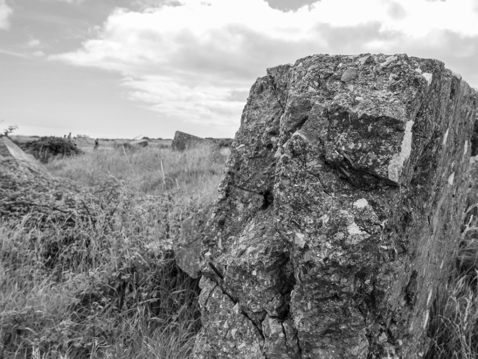 IMG-00437