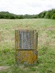 IMG-00435